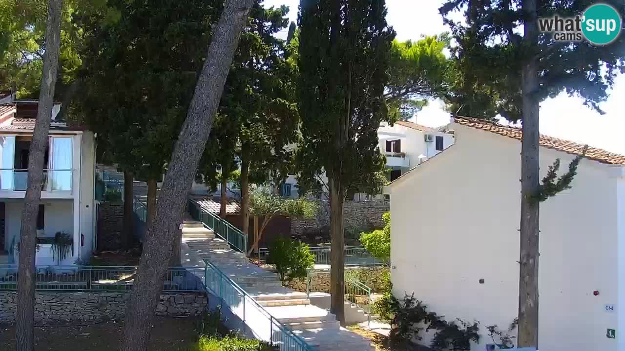Lumbarda resort Spletna kamera Korčula