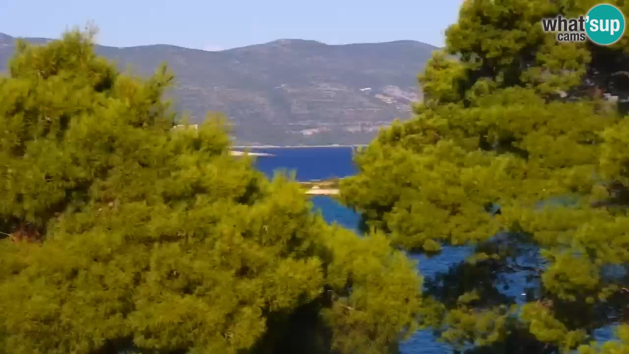 Lumbarda resort – livecam Korčula