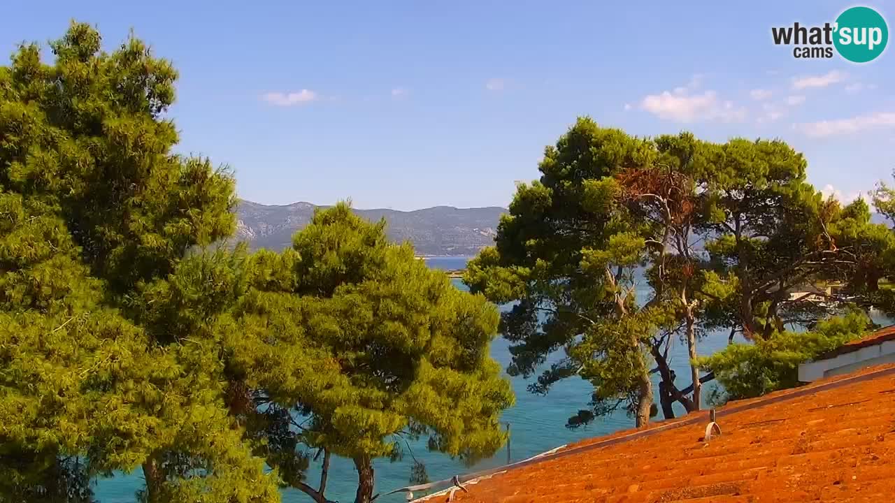 Lumbarda Resort webcam Kurzel