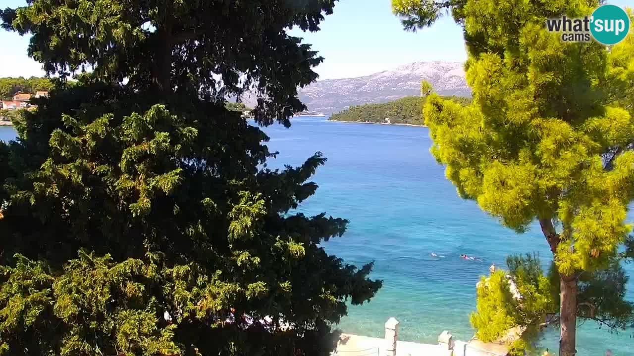 Lumbarda Resort live cam Curzola