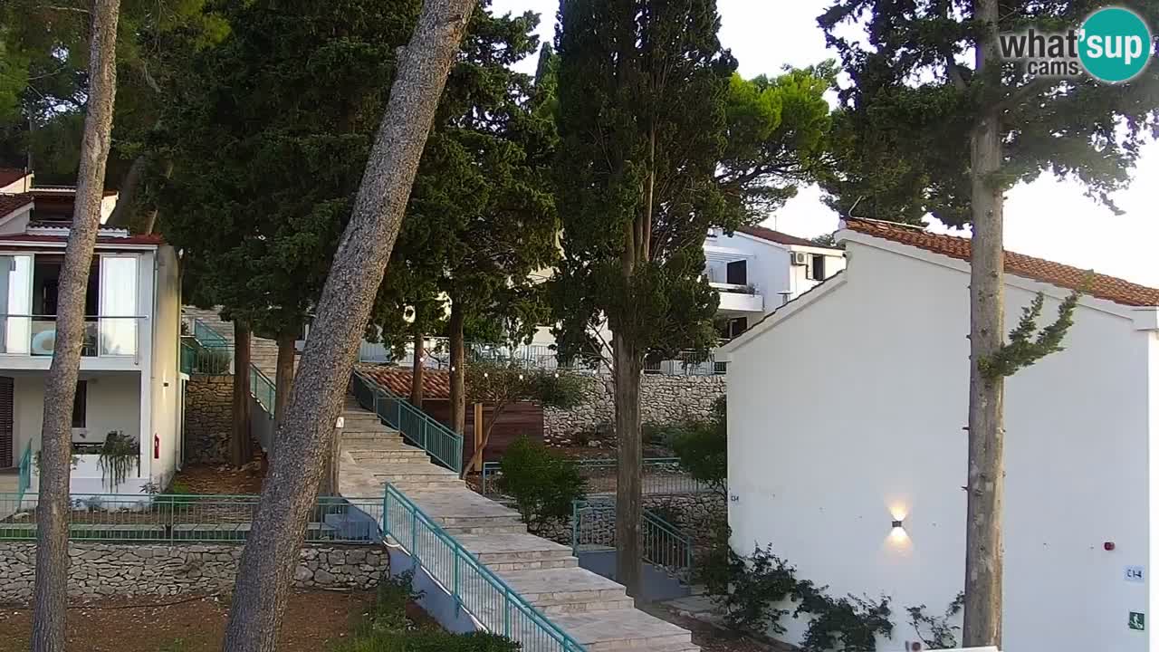Lumbarda resort Webcam Korčula
