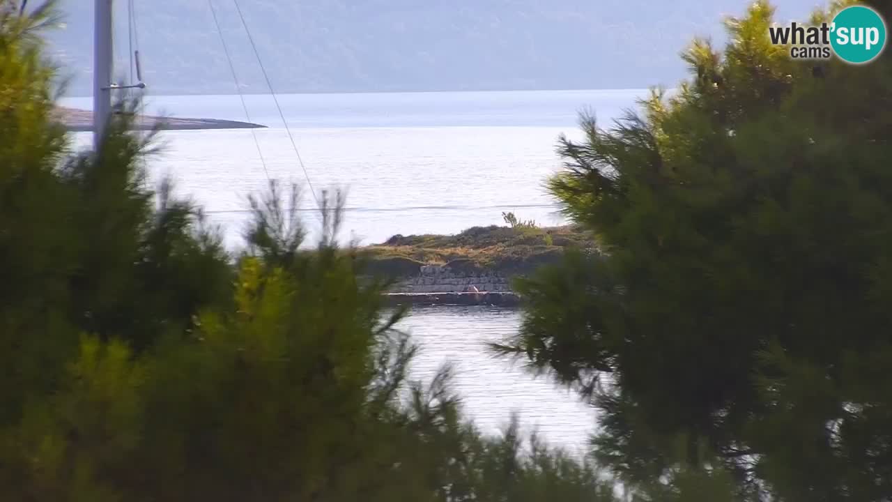 Lumbarda Resort live cam Curzola