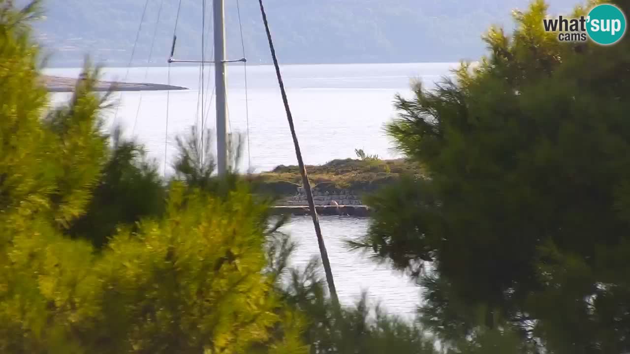 Lumbarda resort Spletna kamera Korčula