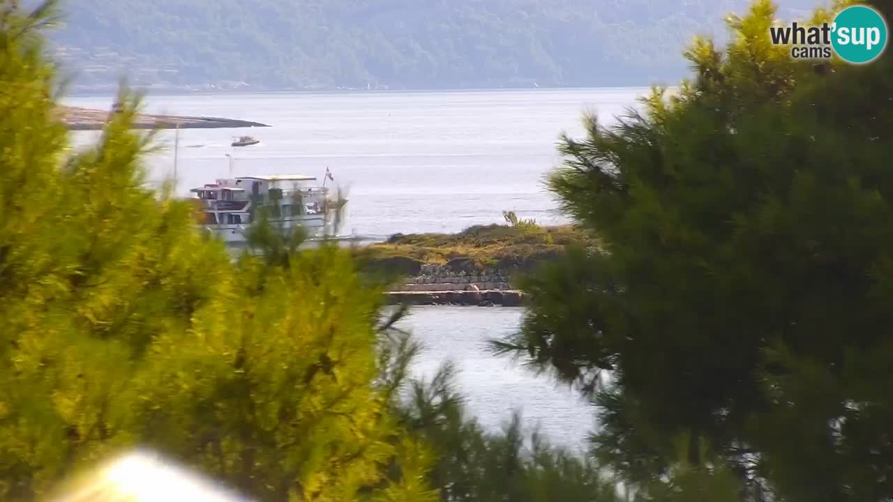 Lumbarda resort Spletna kamera Korčula