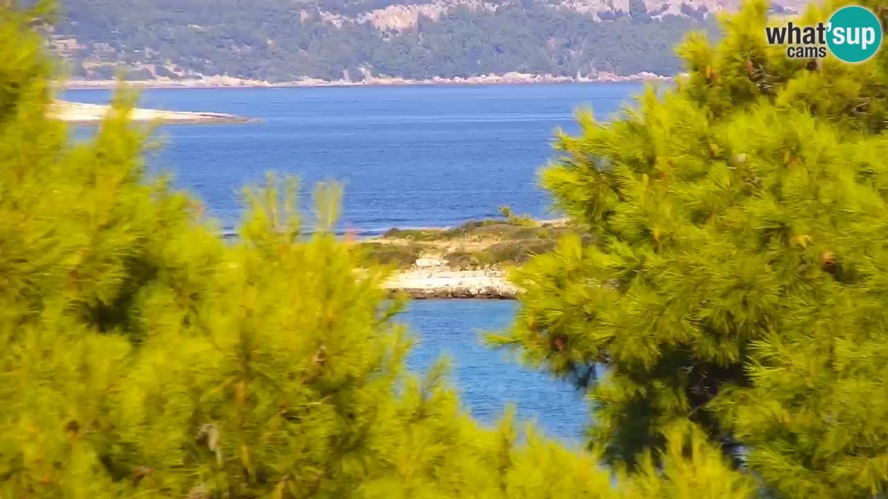 Lumbarda resort – livecam Korčula
