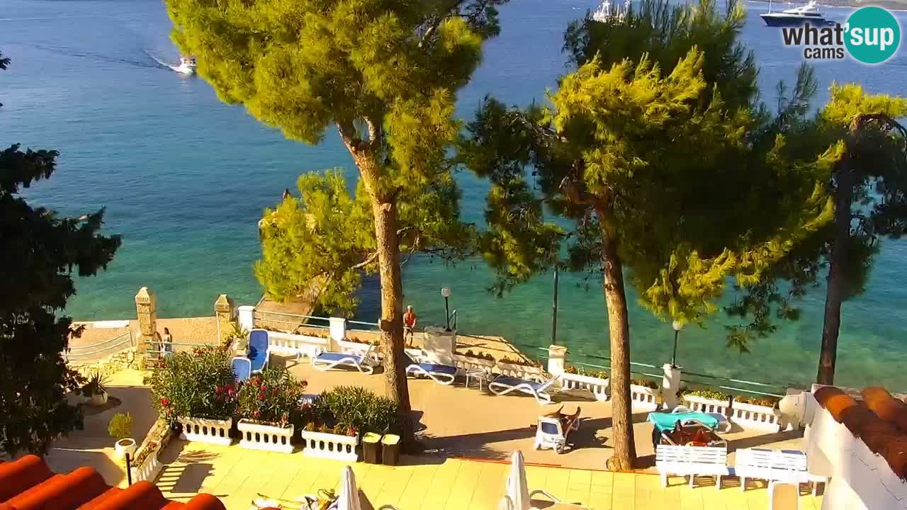 Lumbarda Resort camera en vivo Korčula