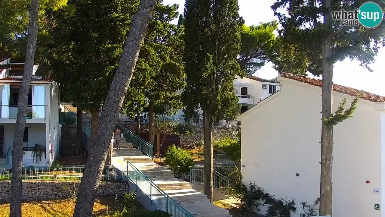 Lumbarda resort – livecam Korčula