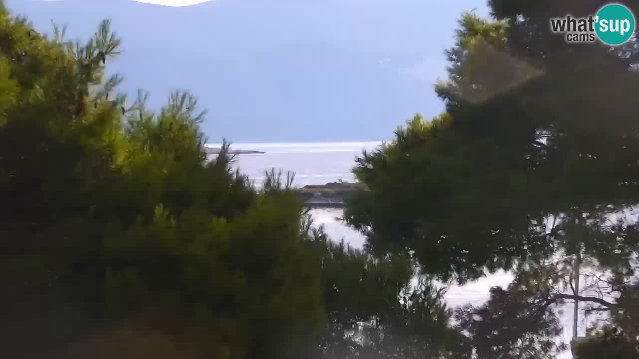 Lumbarda resort Web Kamera Korčula