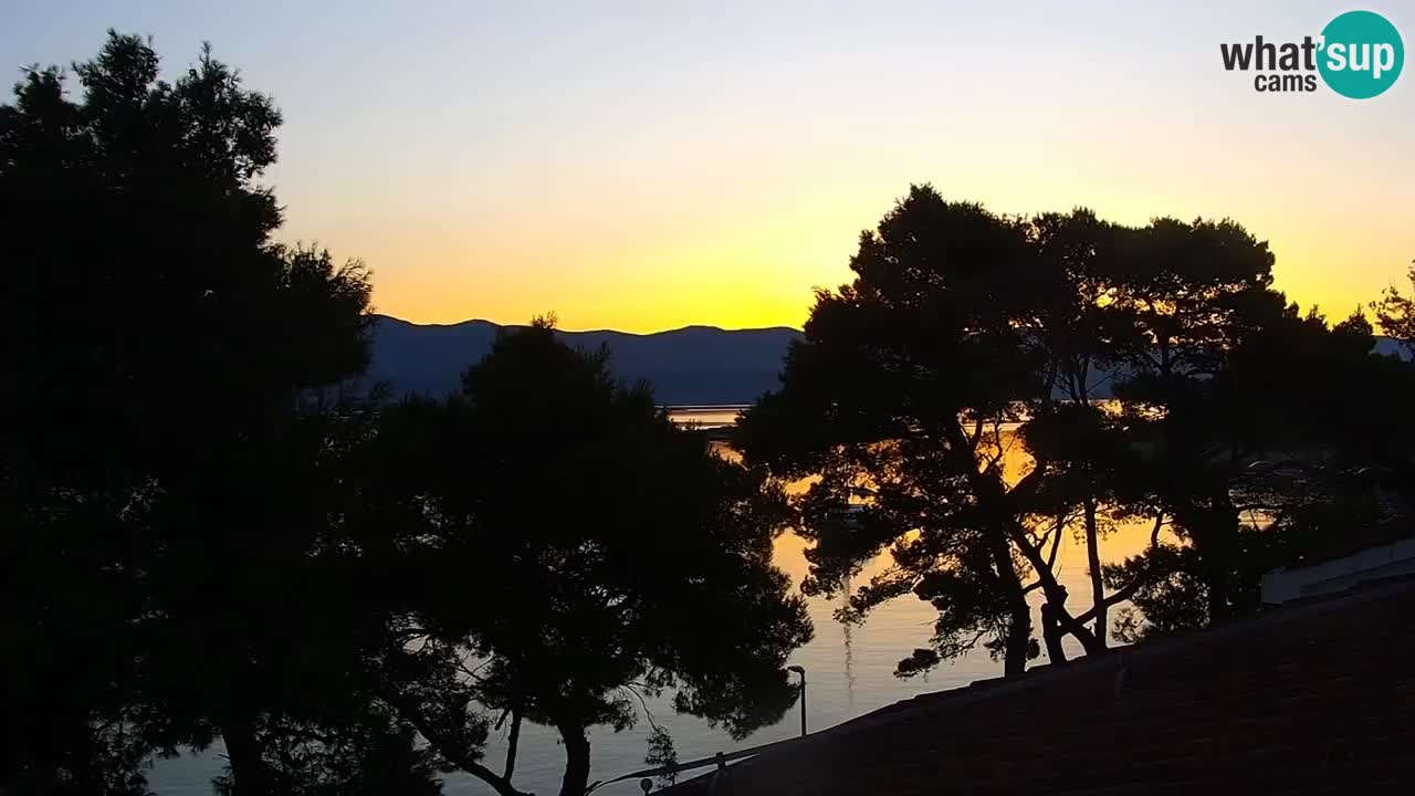 Lumbarda resort Webcam Korčula