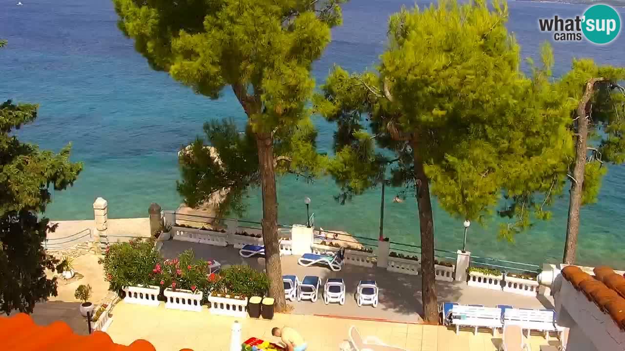 Lumbarda Resort camera en vivo Korčula