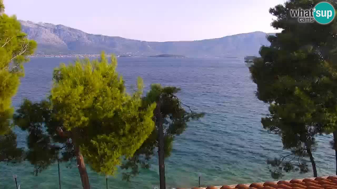 Lumbarda Resort webcam Kurzel