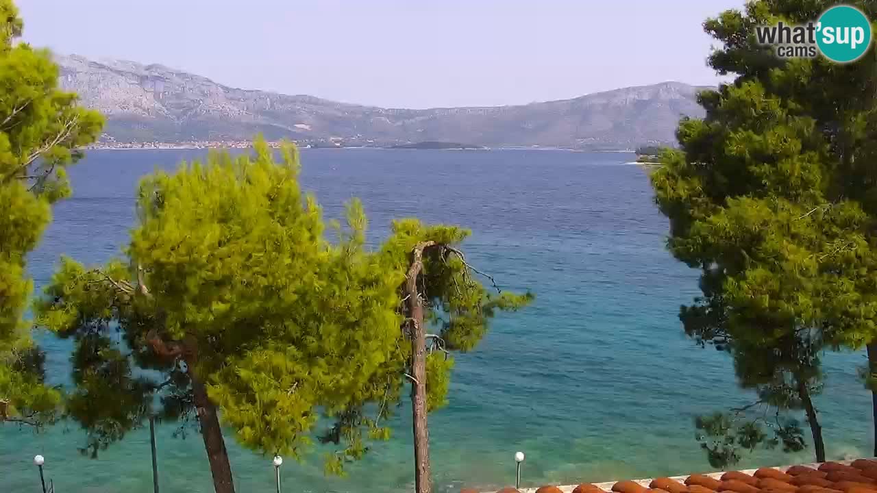 Lumbarda resort Spletna kamera Korčula
