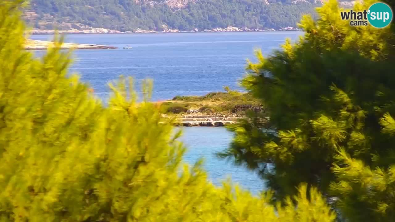 Lumbarda resort Webcam Korčula