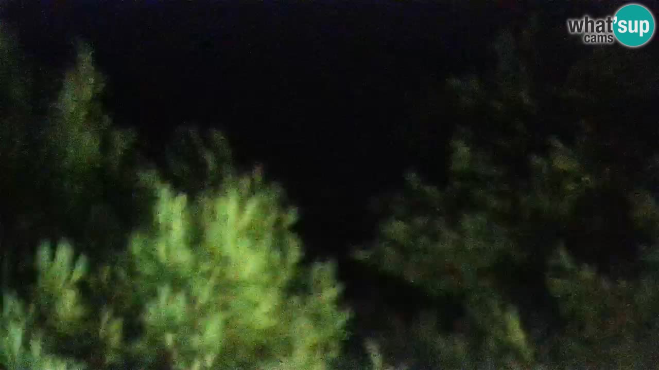 Lumbarda resort Webcam Korčula