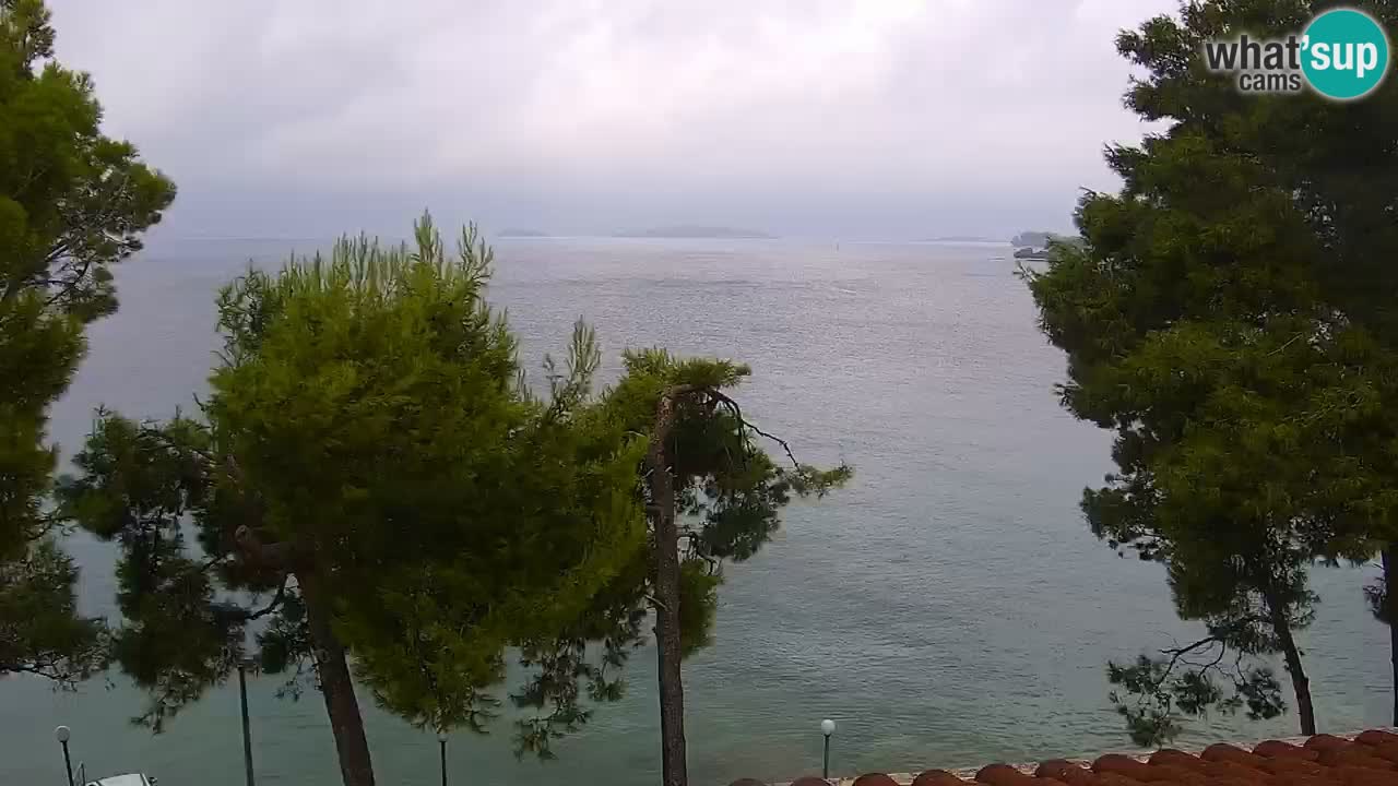 Lumbarda resort Webcam Korčula