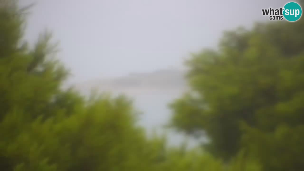 Lumbarda Resort camera en vivo Korčula