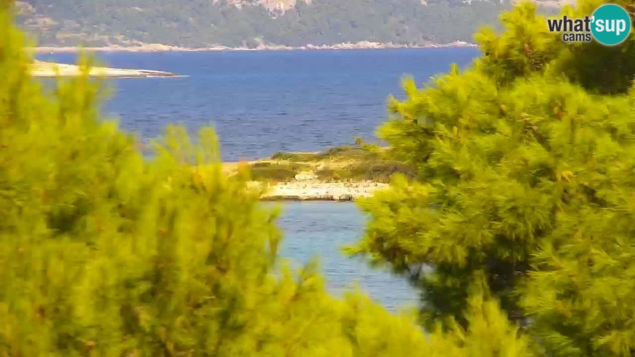 Lumbarda Resort camera en vivo Korčula