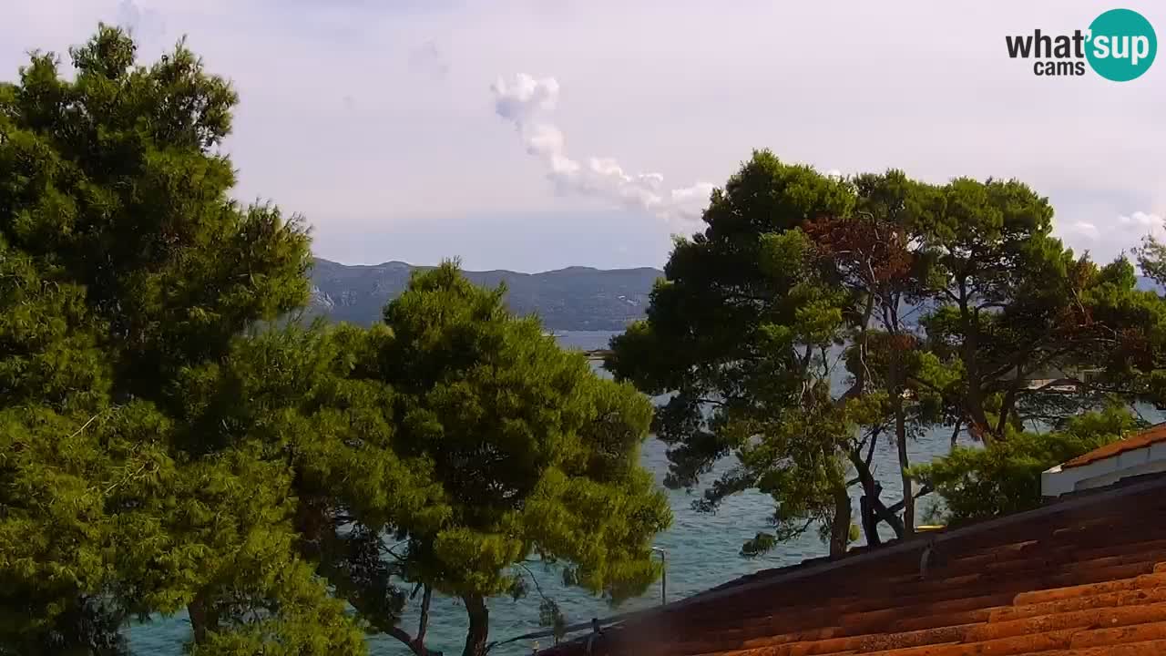 Lumbarda Resort camera en vivo Korčula