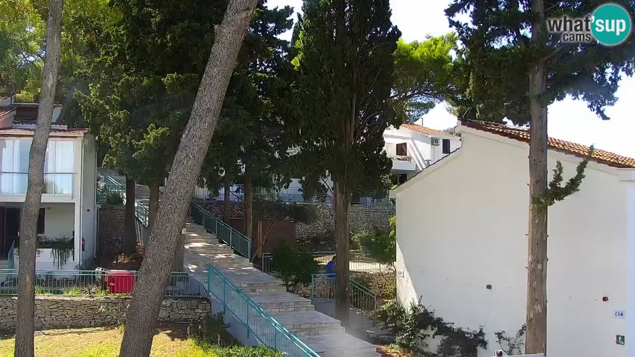Lumbarda resort Webcam Korčula