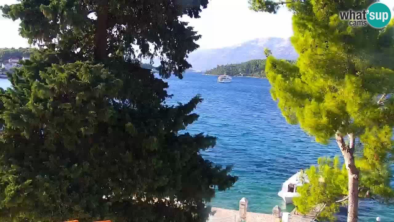 Lumbarda resort – livecam Korčula