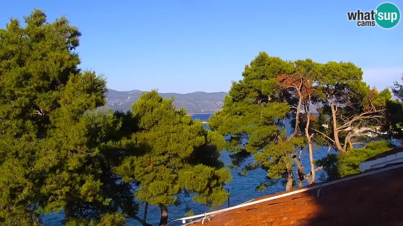 Lumbarda resort Web Kamera Korčula