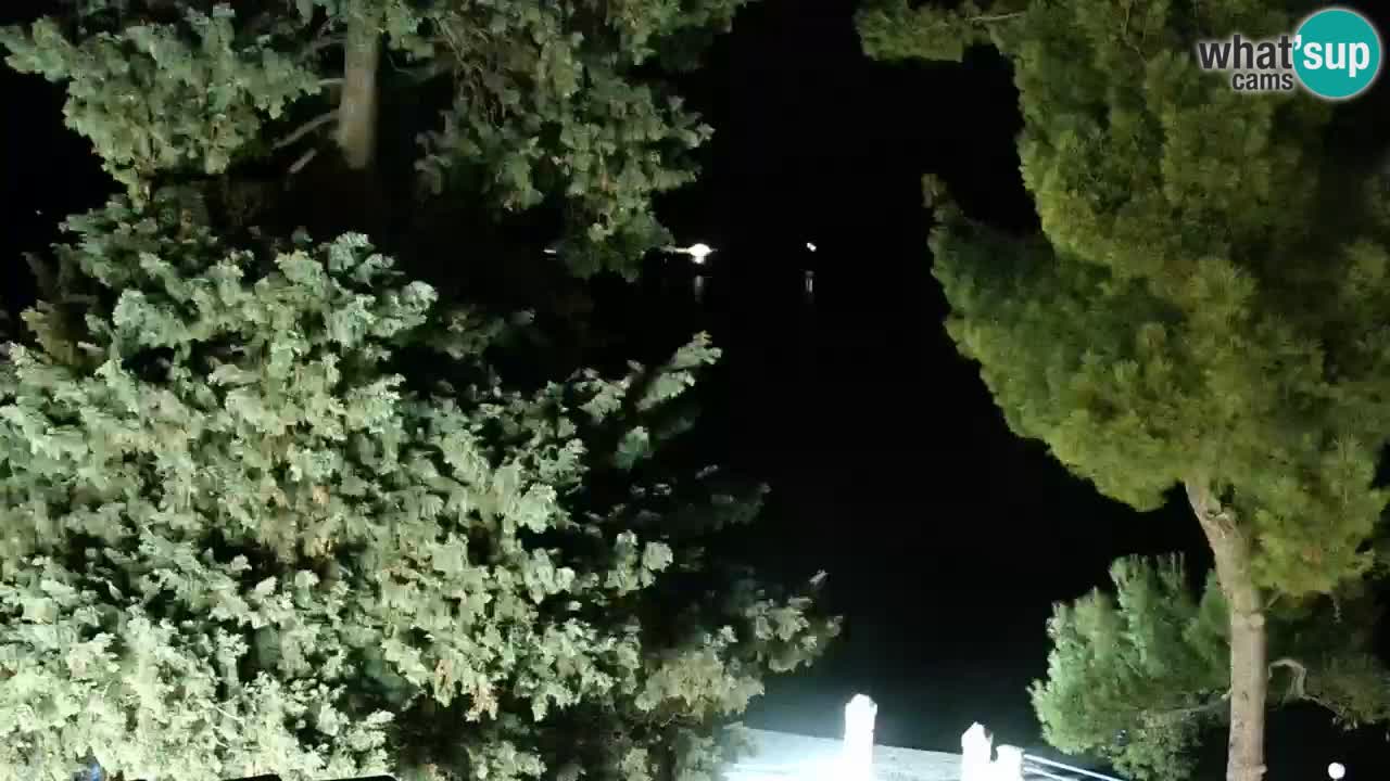 Lumbarda Resort camera en vivo Korčula