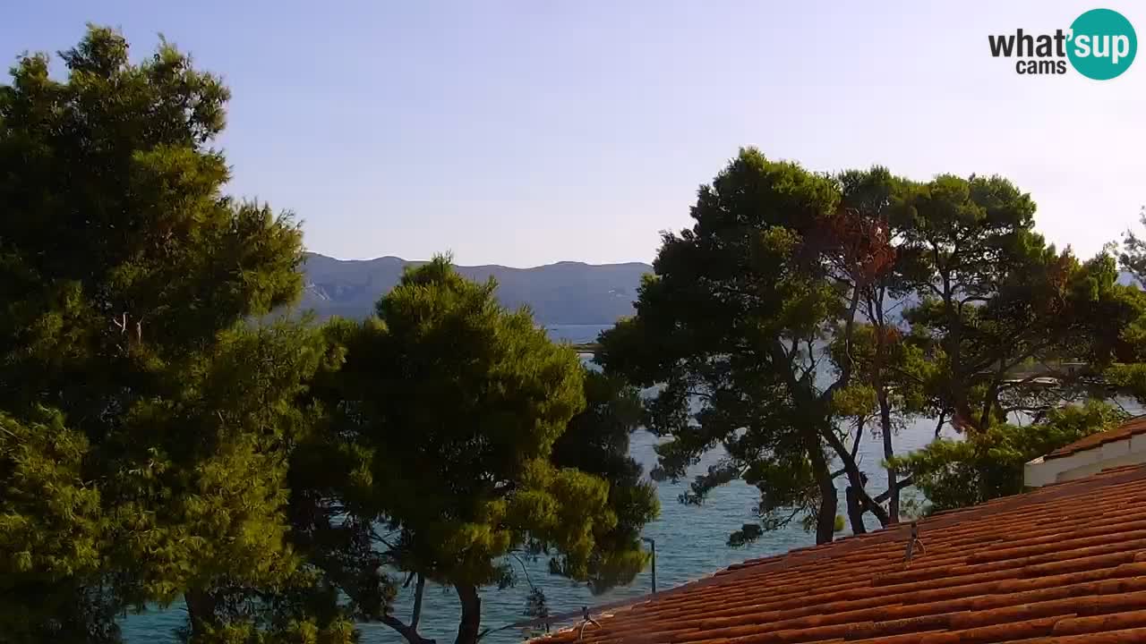 Lumbarda Resort camera en vivo Korčula