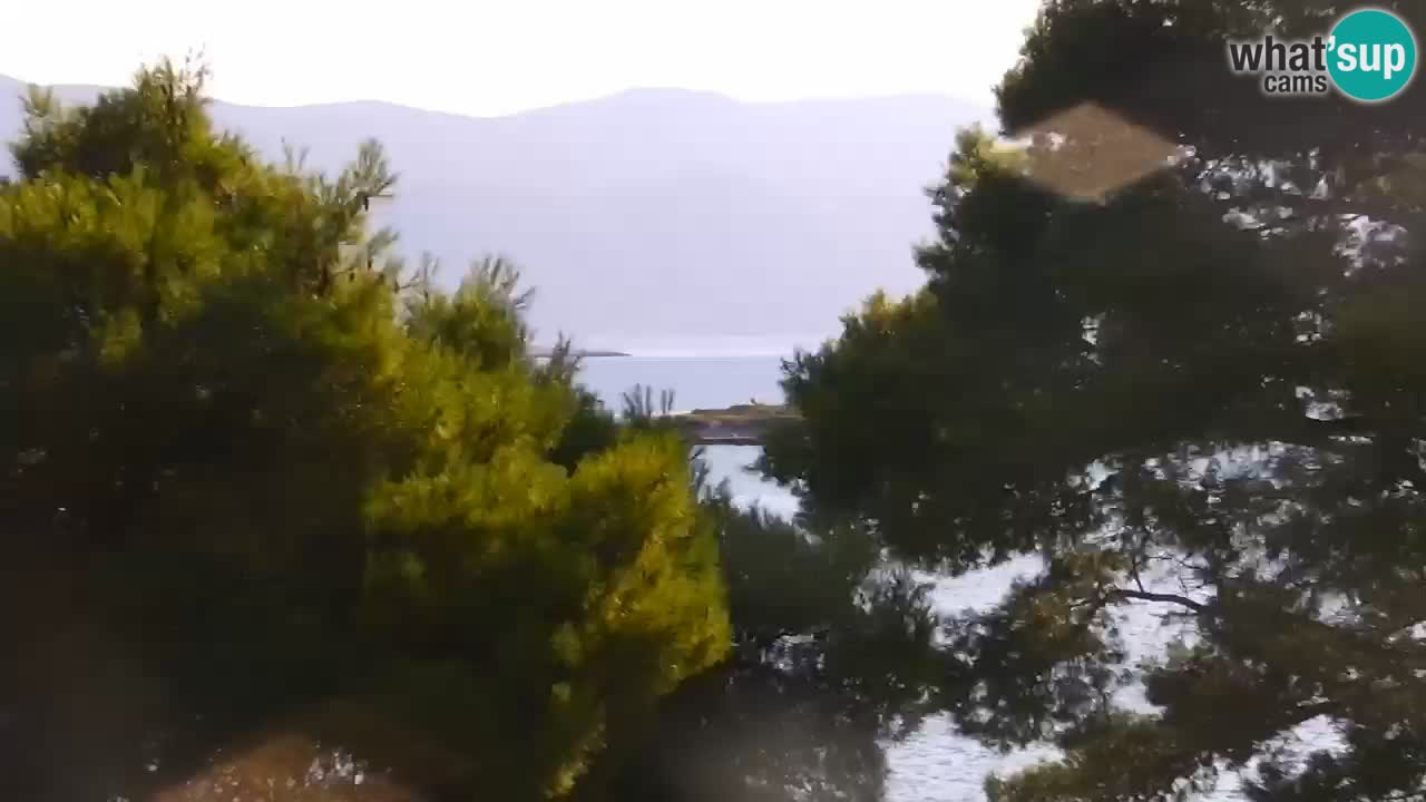 Lumbarda Resort webcam Kurzel
