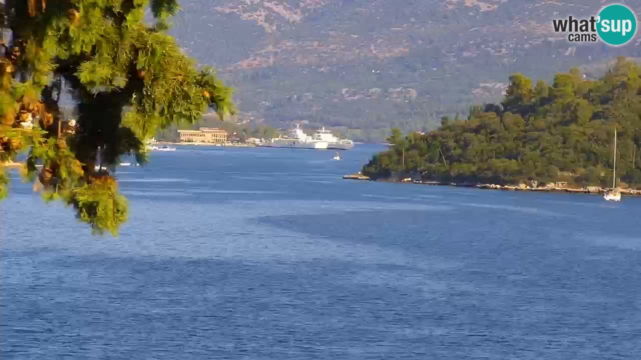Lumbarda Resort camera en vivo Korčula