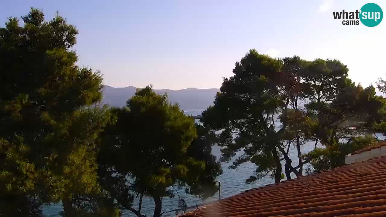 Lumbarda resort Web Kamera Korčula