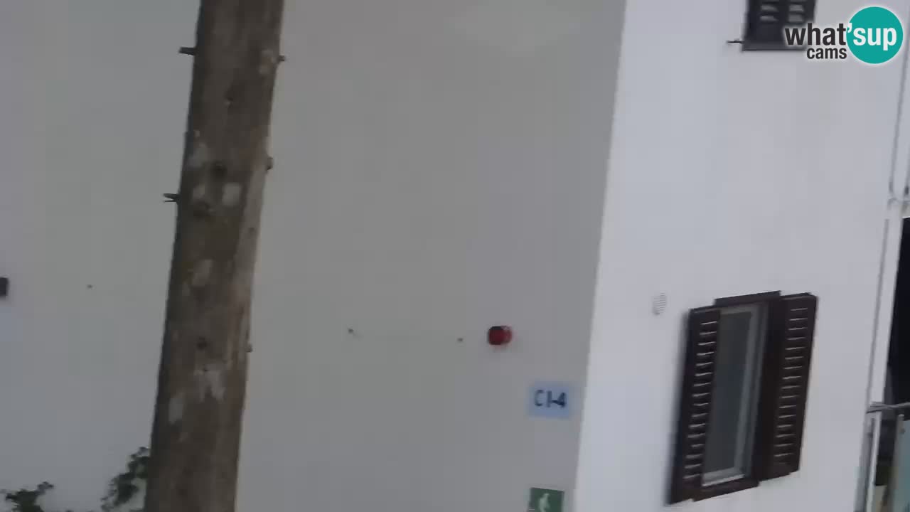 Lumbarda resort Webcam Korčula