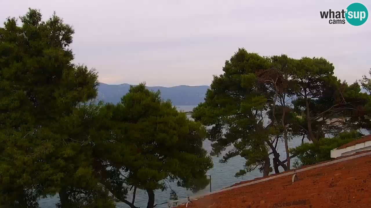 Lumbarda resort Web Kamera Korčula