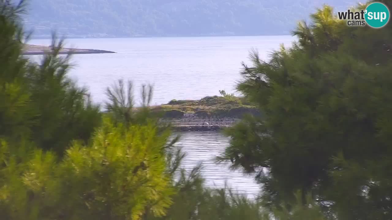 Lumbarda resort Spletna kamera Korčula