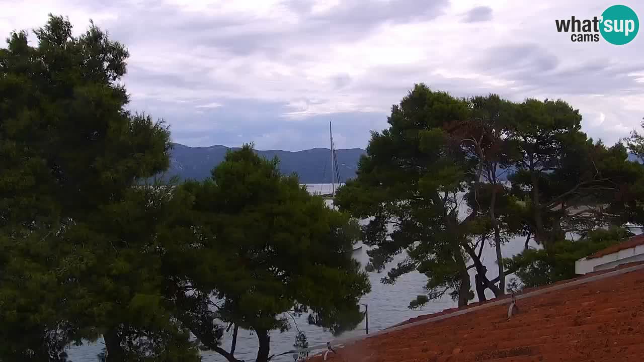 Lumbarda resort – livecam Korčula