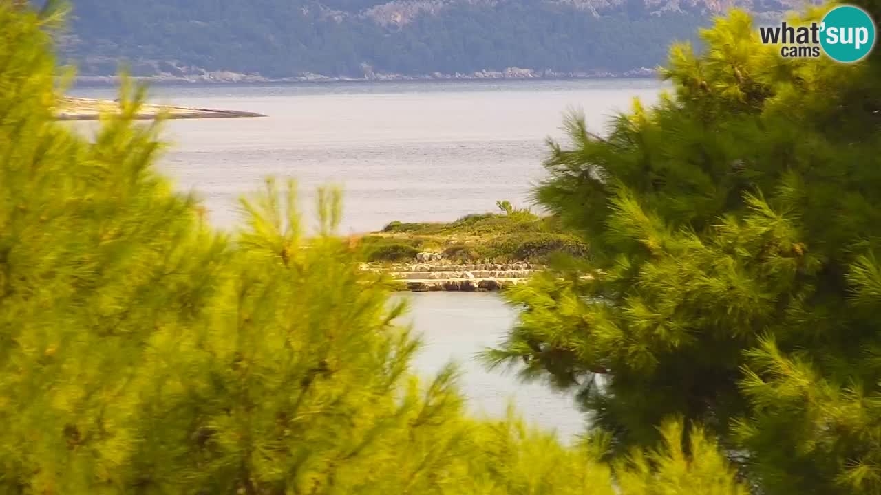 Lumbarda resort – livecam Korčula