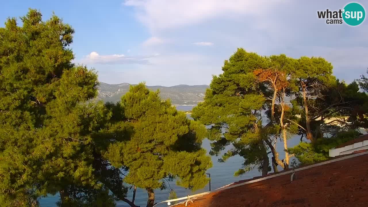 Lumbarda resort Webcam Korčula