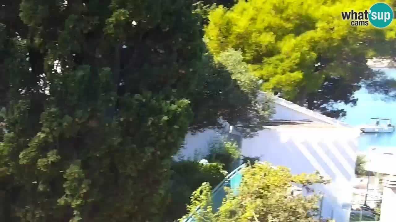 Lumbarda Resort camera en vivo Korčula