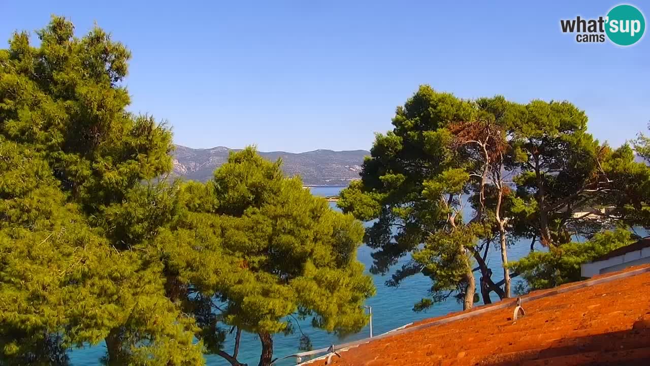 Lumbarda resort Webcam Korčula