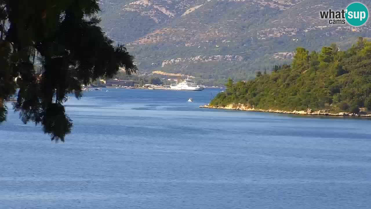 Lumbarda resort Webcam Korčula