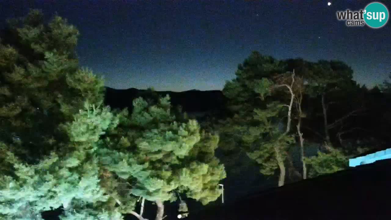 Lumbarda Resort camera en vivo Korčula