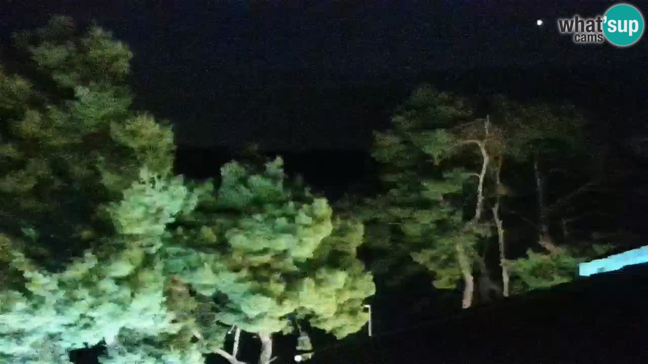 Lumbarda Resort camera en vivo Korčula