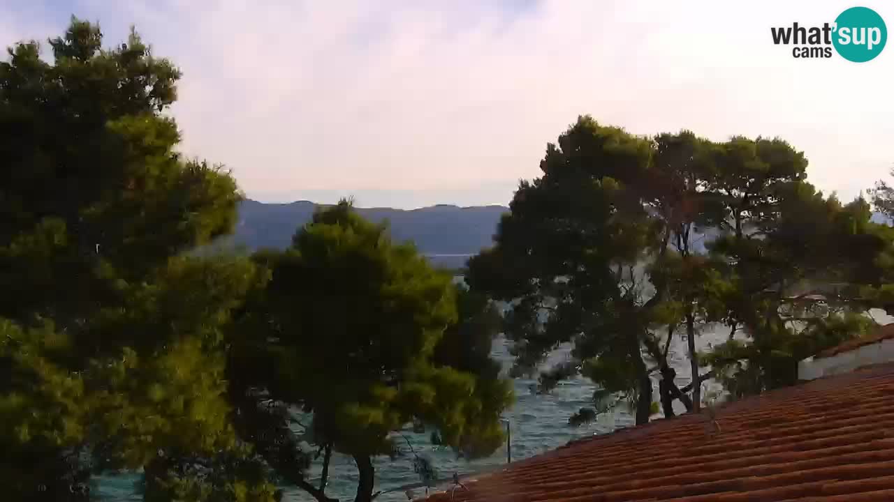 Lumbarda resort Web Kamera Korčula