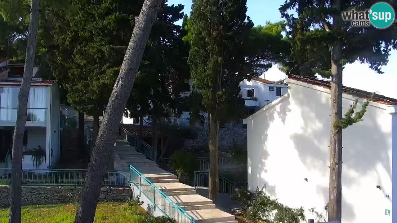 Lumbarda Resort camera en vivo Korčula