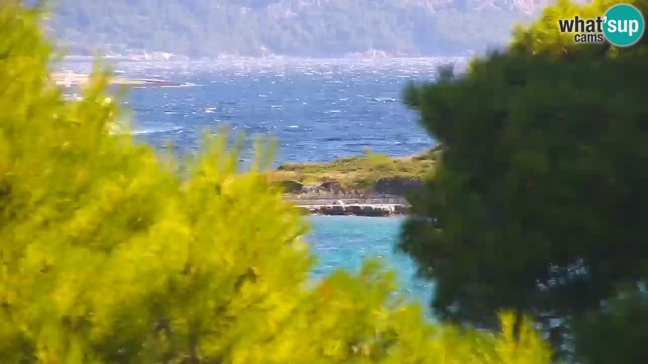 Lumbarda resort – livecam Korčula
