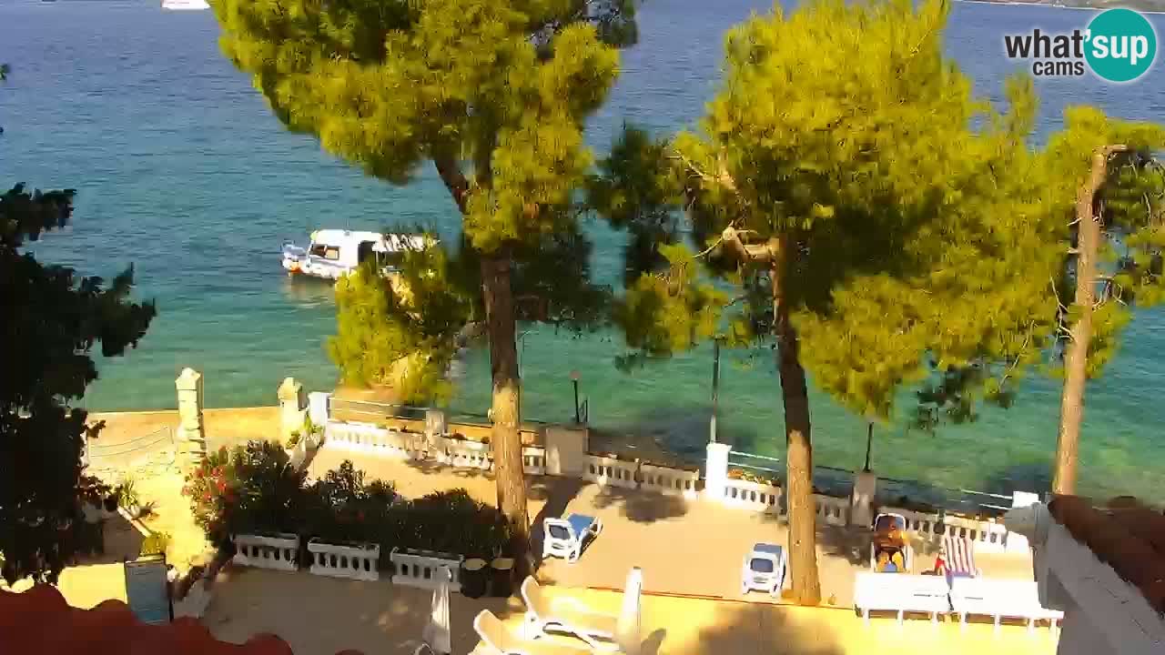 Lumbarda resort Webcam Korčula
