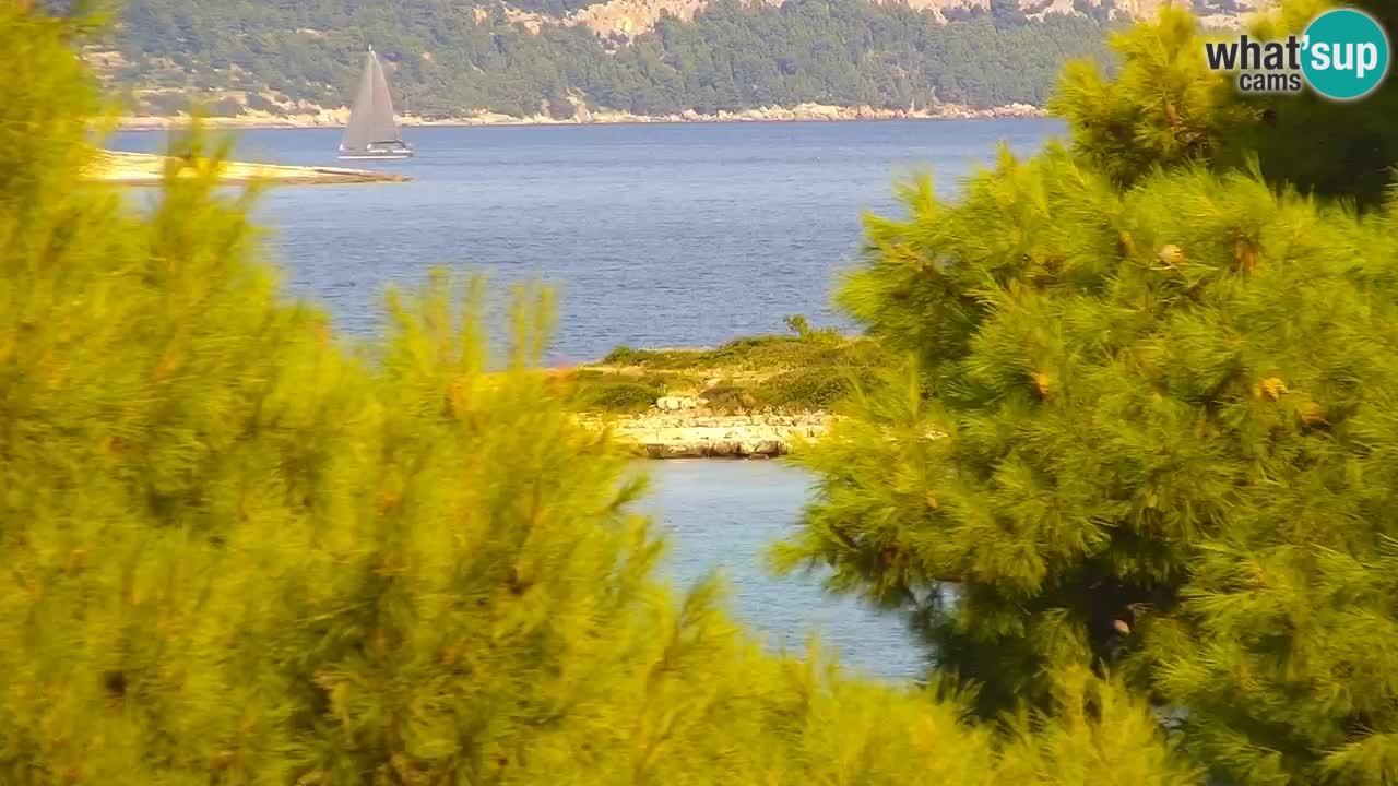 Lumbarda resort – livecam Korčula