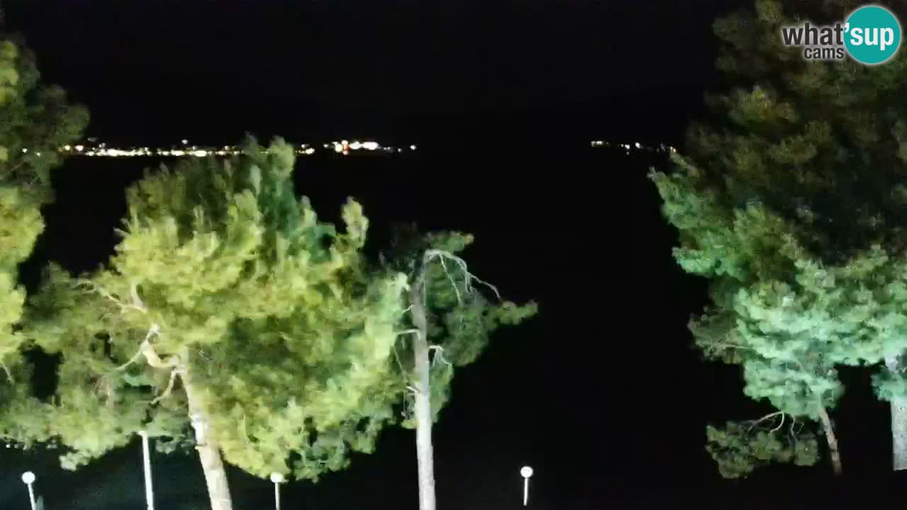 Lumbarda resort – livecam Korčula