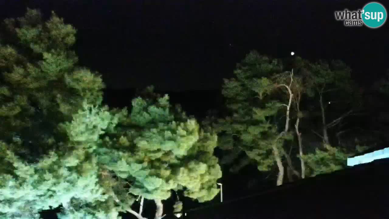Lumbarda resort – livecam Korčula
