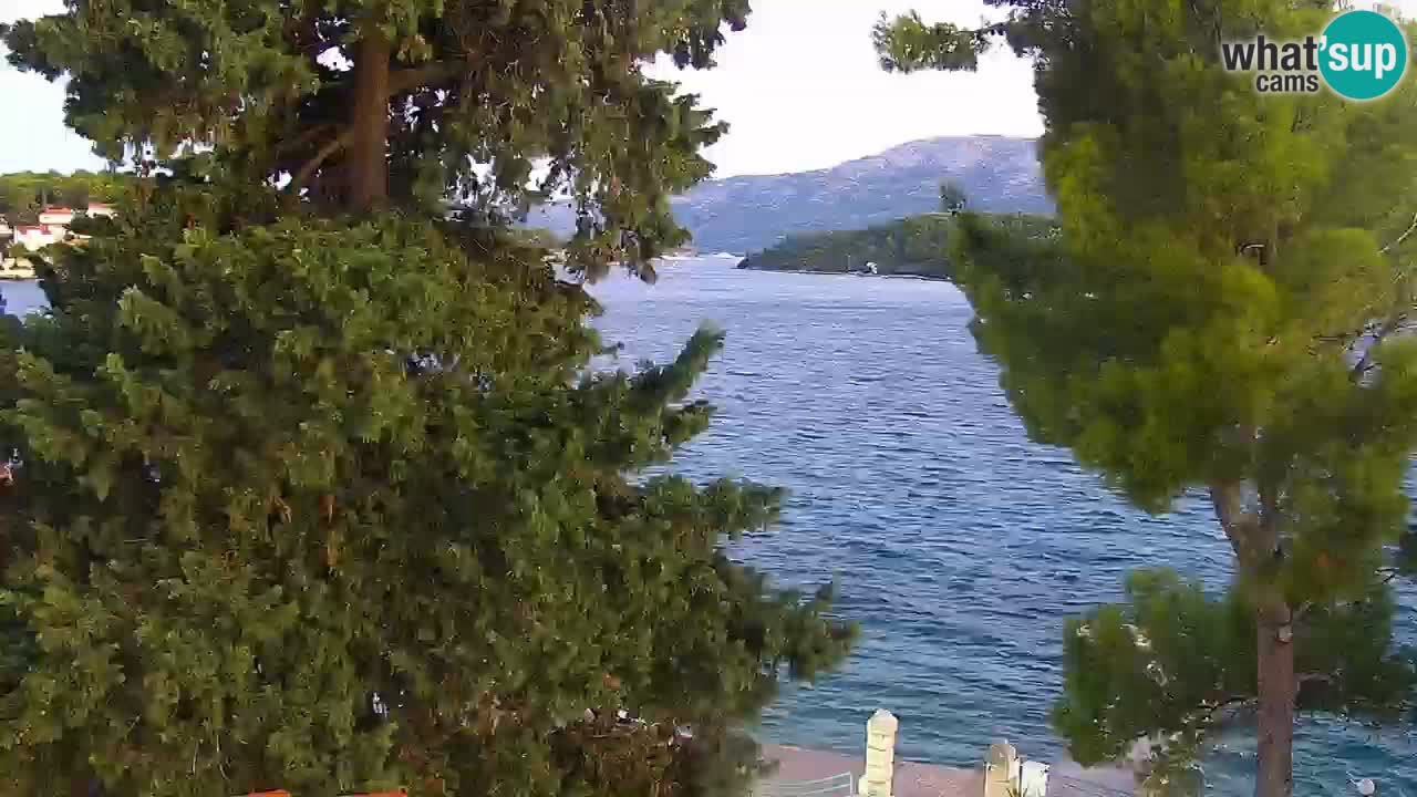 Lumbarda resort Spletna kamera Korčula