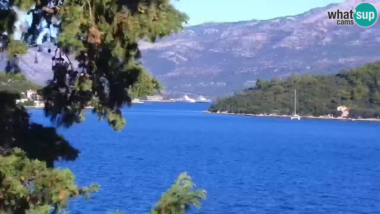 Lumbarda resort Web Kamera Korčula